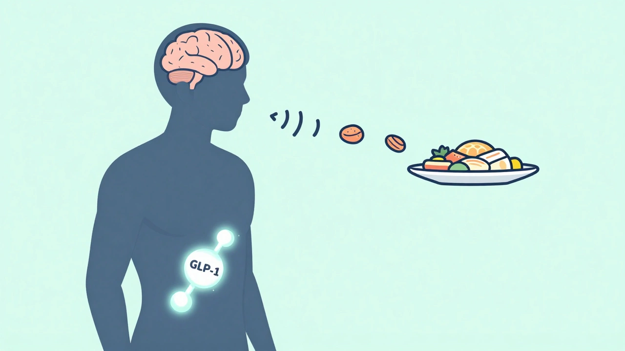 GLP-1 Agonists and Weight Loss: How These Diabetes Drugs Are Changing Obesity Treatment